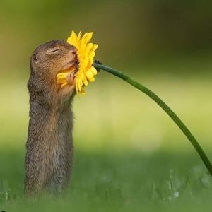 Meet your Posher, Michelle